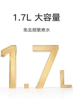小米米家恒温电水壶泡茶烧水壶