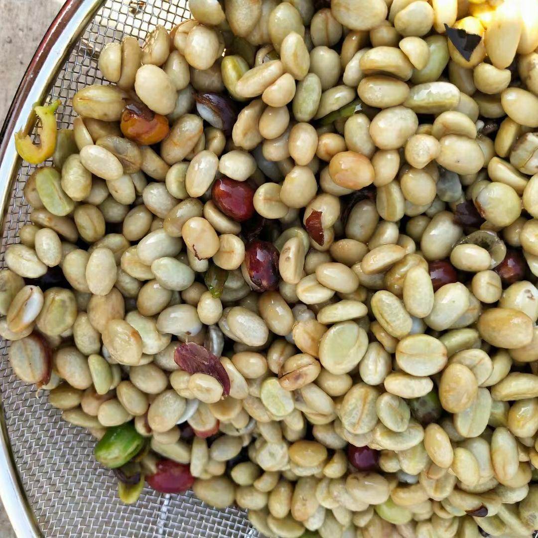 手摇咖啡豆脱皮机电动汽油咖啡鲜果剥皮机咖啡脱皮机去皮机剥壳机,淘宝优惠券,粉丝福利购,淘宝优惠卷