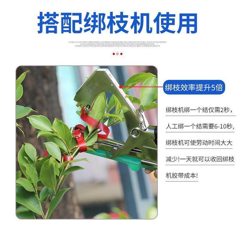绑枝带加厚绑带葡萄绑枝机胶带绑枝器专用番茄绑枝机胶带钉子包邮,淘宝优惠券,粉丝福利购,淘宝优惠卷