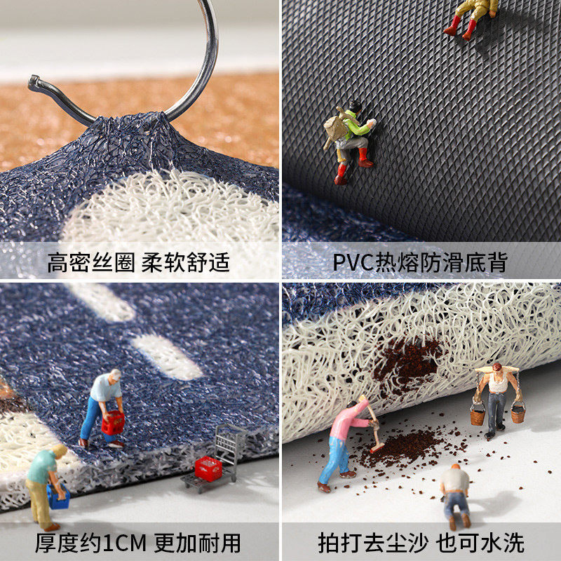 入户门地垫进门大门口丝圈门垫用室内防滑脚垫2025新款玄关地毯,淘宝优惠券,粉丝福利购,淘宝优惠卷