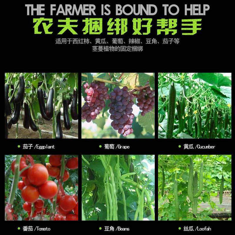黄瓜西红柿神器器绑枝绑蔓钉子机葡萄胶带藤绑枝机绑捆绑绑枝机绑,淘宝优惠券,粉丝福利购,淘宝优惠卷
