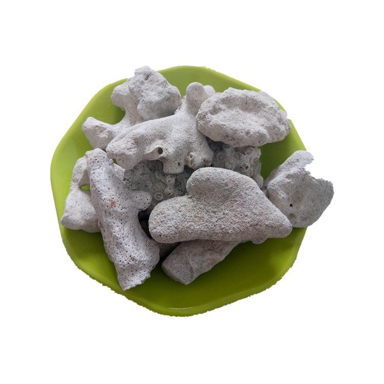 厂家销售 鱼缸造景珊瑚沙 水族过滤珊瑚骨,淘宝优惠券,粉丝福利购,淘宝优惠卷