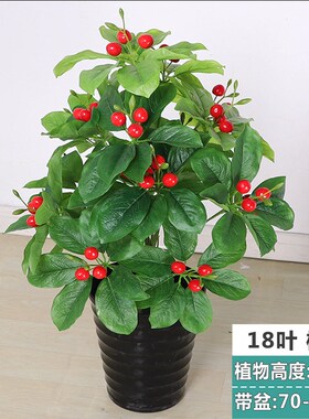 仿真金桔樱桃假i树果树大树盆栽塑料植物室内装饰盆景落地绿植摆