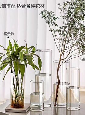 加大号亚克力防摔花瓶摆件客厅插花透明水养富贵竹直筒轻奢醒花桶