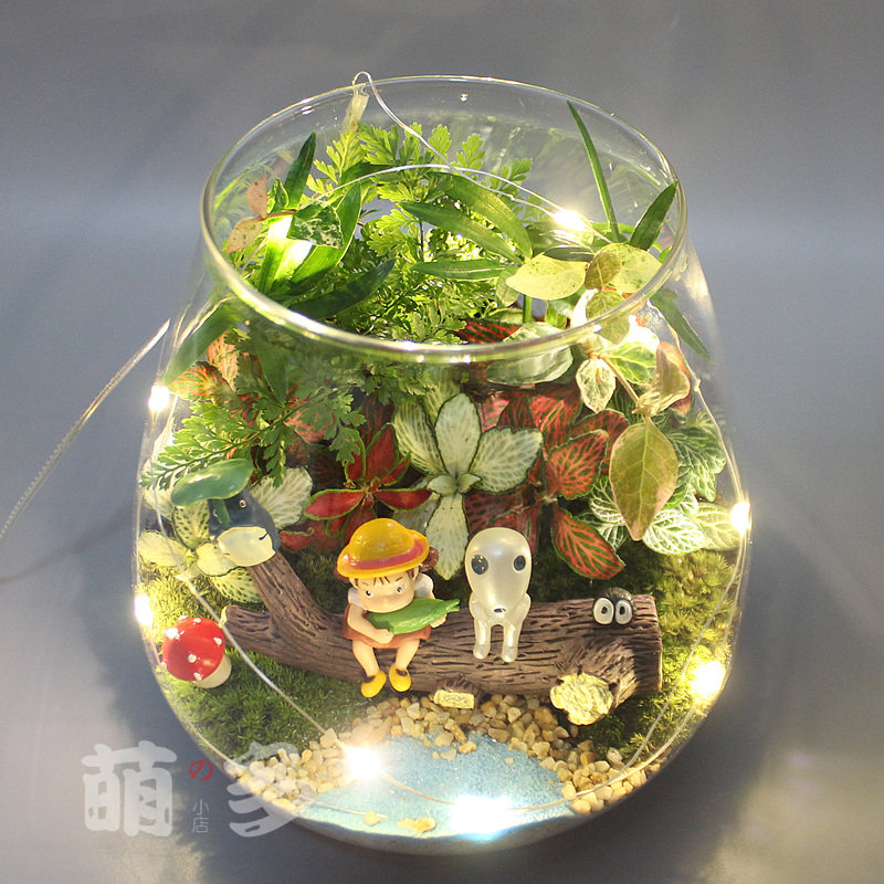 带灯苔藓生态瓶微景观disy套装 创意手工盆景绿植亲子活动材料包,淘宝优惠券,粉丝福利购,淘宝优惠卷
