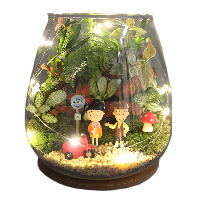 带灯苔藓生态瓶微景观disy套装 创意手工盆景绿植亲子活动材料包,淘宝优惠券,粉丝福利购,淘宝优惠卷