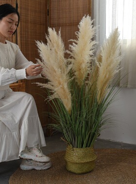 满阳仿真芦苇绿植盆栽天然蒲苇干花室内民宿店铺橱窗造景装饰摆件