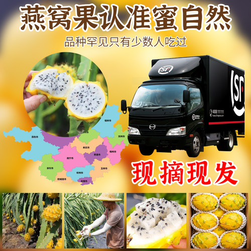 海南燕窝果新鲜火龙果白心麒麟果4斤当季现摘特产水果顺丰包邮 - 图3