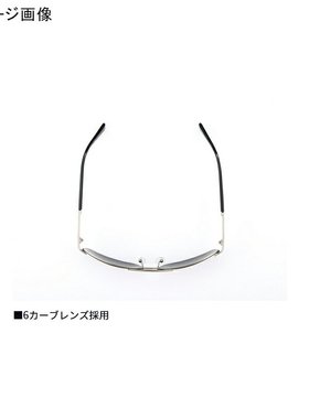 日本直邮Daiwa DN-8035 三醋酸纤维偏光眼镜青铜色08390521