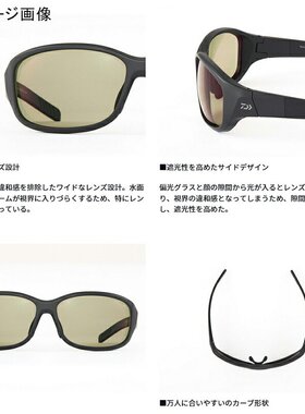 日本直邮Daiwa TLX 025 哑光黑色 TrueView 银蓝色镜面 08390474