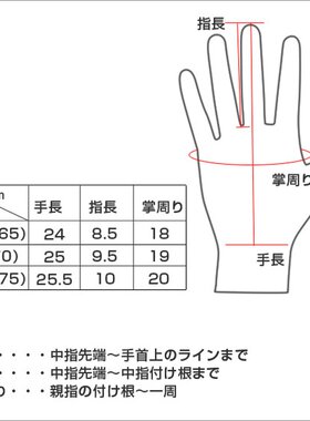 日本直邮Dents 女士皮手套寒冷天气适用羊绒材质7-1134 黑色