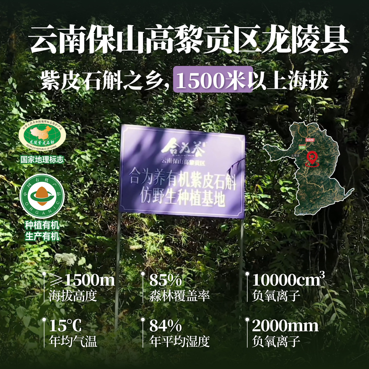 合为养紫皮石斛原浆石斛原液传统滋补养生饮品官方正品旗舰店,淘宝优惠券,粉丝福利购,淘宝优惠卷