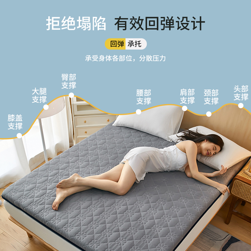 床垫软垫家用褥子学生宿舍单人海C绵垫垫被榻榻米租房专用地铺睡 - 图1