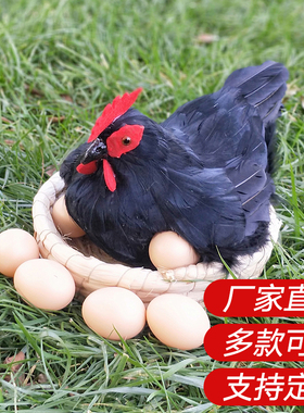 仿真鸡摆件母鸡模型m标本超市装饰孵蛋鸡带鸡窝早教道具田园农家