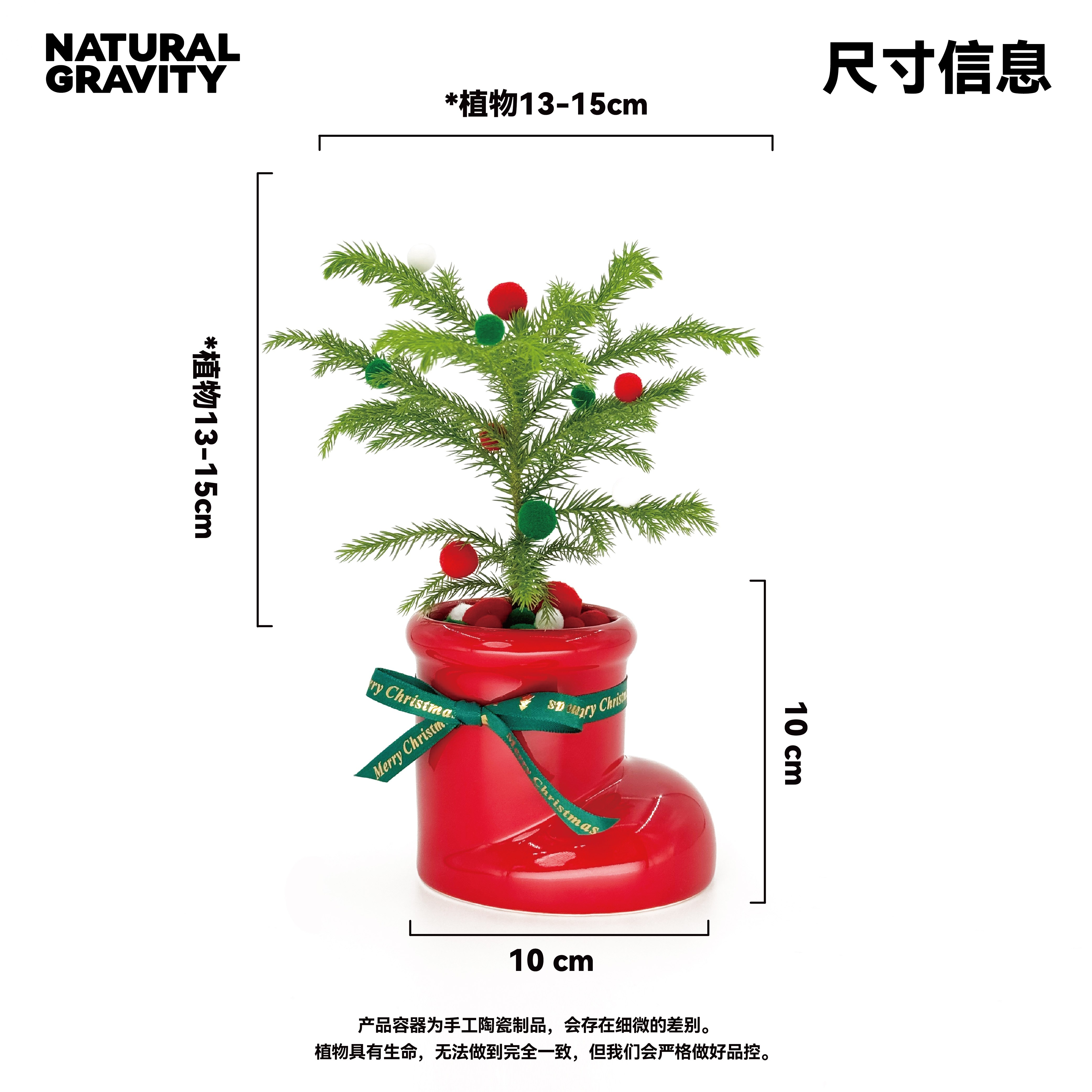 自然引力 圣诞礼物圣诞树南洋杉圣诞靴桌面创意室内绿物送人礼物,淘宝优惠券,粉丝福利购,淘宝优惠卷