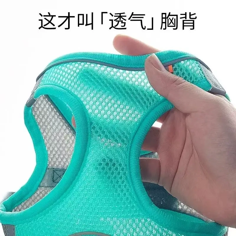 小体犬幼犬专用牵引绳超小体约克夏胸背茶杯犬1斤狗绳小鹿犬狗狗,淘宝优惠券,粉丝福利购,淘宝优惠卷