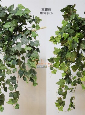 欧式仿真壁挂常春藤爬山虎网纹叶室内墙面顶洞管道V遮挡装饰绿植