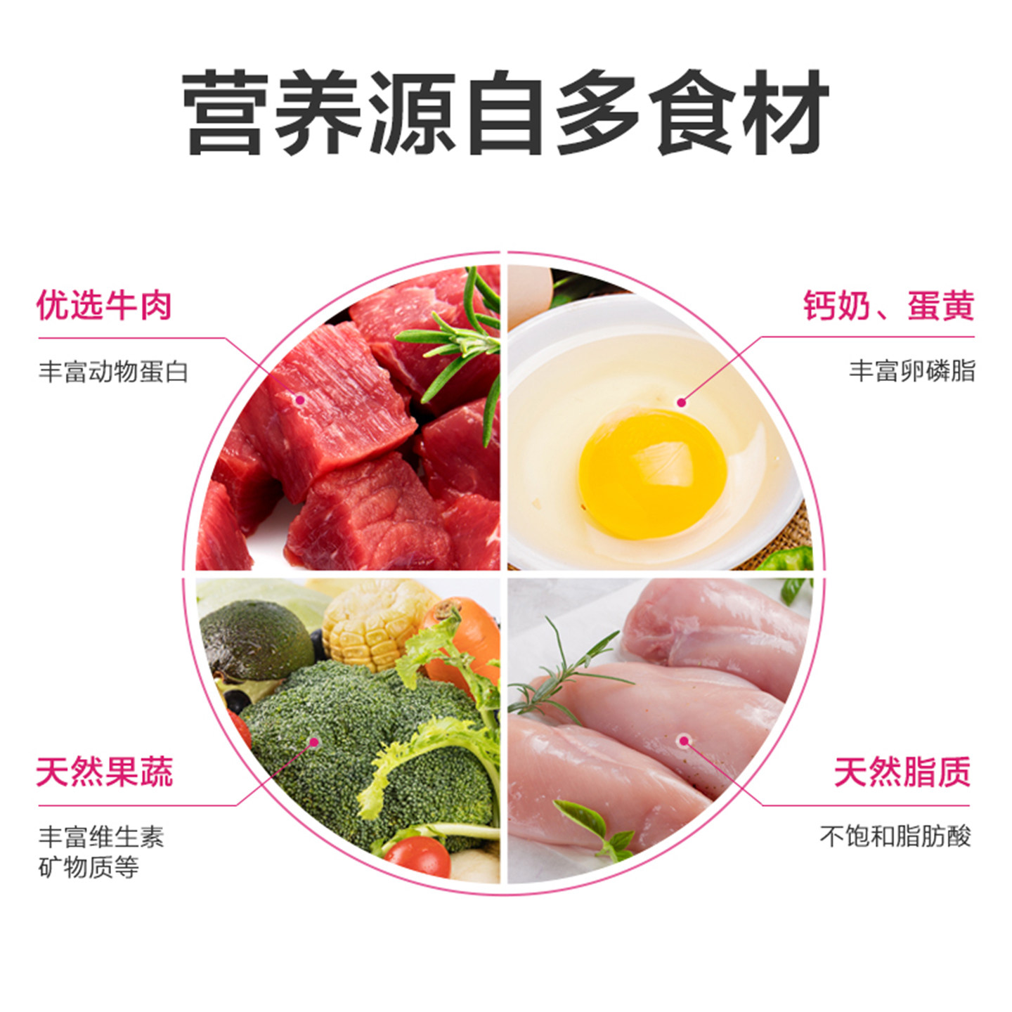 营养森林狗粮泰迪通用型比熊柯基柴犬小型犬成幼犬粮1.3kg,淘宝优惠券,粉丝福利购,淘宝优惠卷