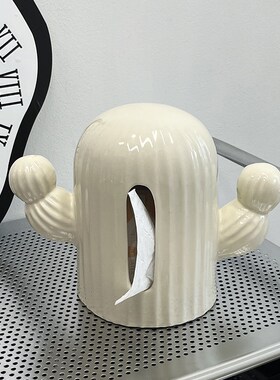 仙人掌纸巾盒高级感小众装饰品摆件客厅卧室房间改T造家居用好物