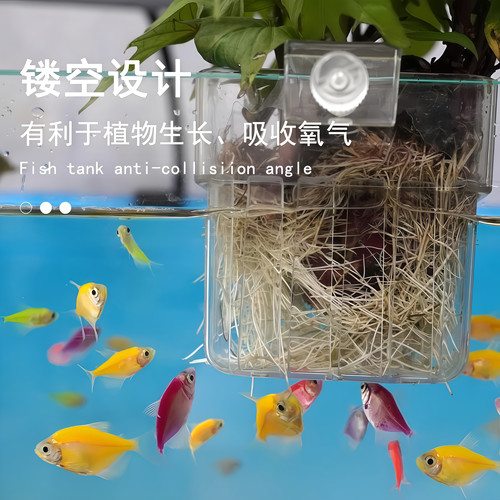 鱼缸水培架定植篮壁挂式水草杯绿萝植物固定器支架造景装饰配件 - 图3