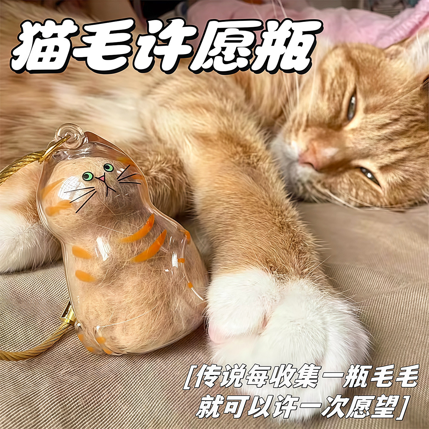 透明猫毛收纳盒吊饰扭蛋猫咪毛发存放胶囊纪念收藏包包钥匙扣挂件,淘宝优惠券,粉丝福利购,淘宝优惠卷