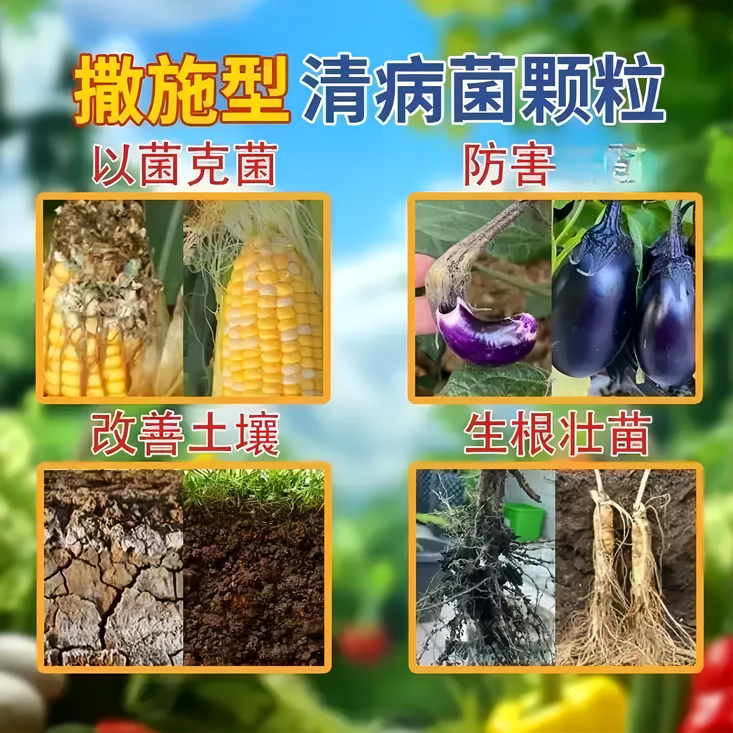 清菌颗粒撒施型防病害瓜果蔬菜大田作物抗土传增抗性通用颗粒剂肥,淘宝优惠券,粉丝福利购,淘宝优惠卷