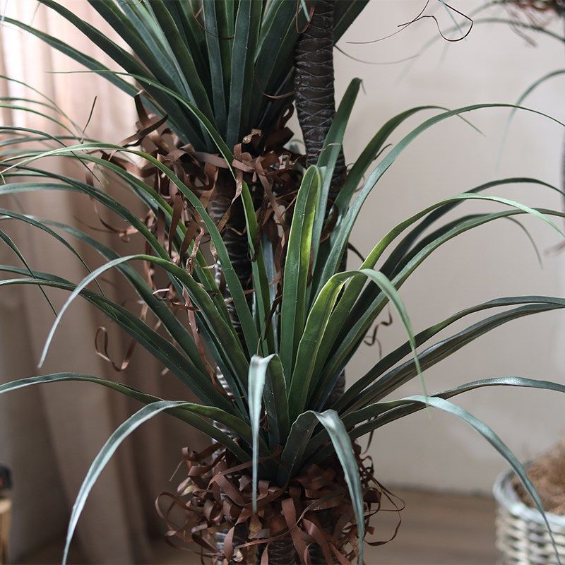 龙血树仿真绿植装饰盆景大型仿生假树植物N盆栽室内酒店橱窗摆件,淘宝优惠券,粉丝福利购,淘宝优惠卷