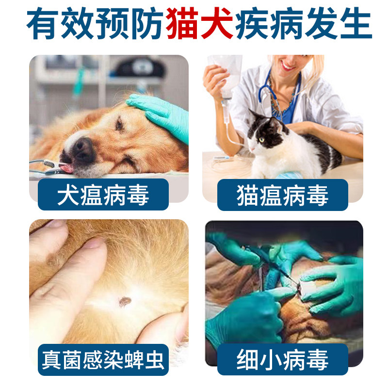 单过复合盐过硫酸氢钾消毒剂带畜猫咪狗狗宠物家庭医院专用消毒粉,淘宝优惠券,粉丝福利购,淘宝优惠卷