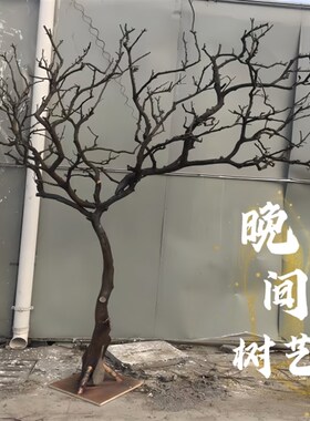 干树枝造景干枝树干许愿树v枯树装饰树原木树枝婚庆酒店造型树白