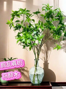 仿真马醉木(活动直降)民宿客厅C室内桌面装饰叶子样板房玄关摆件