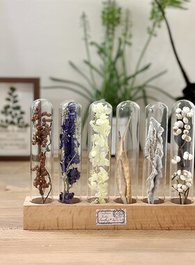 玻璃试管干花植物标本实q木底座组合桌面装饰摆件送闺蜜礼物诧寂