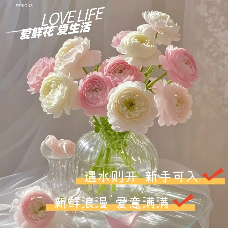 云南鲜花基地玫瑰洋牡丹顺丰包邮年宵花鲜花速递同城花束插花水养,淘宝优惠券,粉丝福利购,淘宝优惠卷