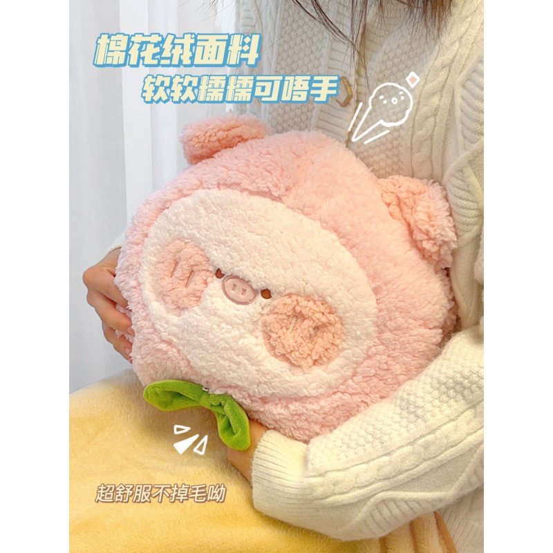 抱枕被子两用二合一毯子车内靠枕玩偶车用办公R室毛毯午休车载枕,淘宝优惠券,粉丝福利购,淘宝优惠卷