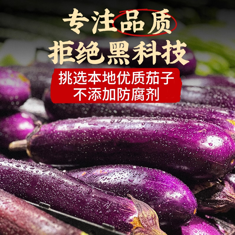 延边酱茄子干辣椒官方旗舰店东北朝鲜族传统酱腌菜泡菜咸菜下饭菜,淘宝优惠券,粉丝福利购,淘宝优惠卷