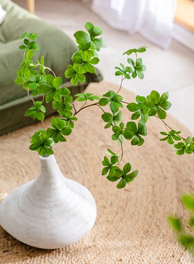 速发绿花马醉物吊钟假植木客厅插花餐桌装饰品假植花摆件摆设