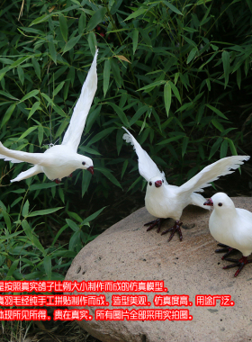 仿真鸽子摆件假鸽子模型婚庆和平鸽道具羽毛鸟类白鸽软Y装饰品摆