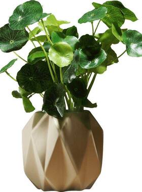 速发橱柜装饰品摆件书柜酒柜摆厅隔断卧室鞋架客设创意摆饰品小工