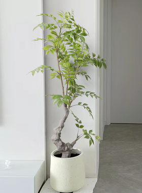 彷真绿色植d物漆木树室内客厅彷生假植物盆栽摆件橱窗落地装饰假
