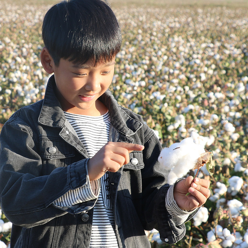 新疆棉被一级全棉被芯纯棉花棉絮棉花被床垫加厚保V暖冬被手工被,淘宝优惠券,粉丝福利购,淘宝优惠卷