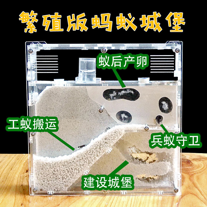 蚂蚁工坊适合各种蚂蚁城堡生态亚克力蚁巢蚁箱宠物产卵繁殖窝家园,淘宝优惠券,粉丝福利购,淘宝优惠卷