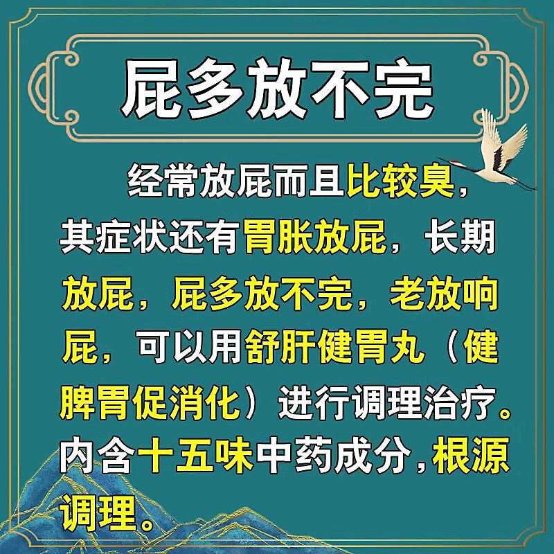 舒肝健胃丸正品肚子胀气不消化腹胀屁多经常放屁调理肠胃治屁多药