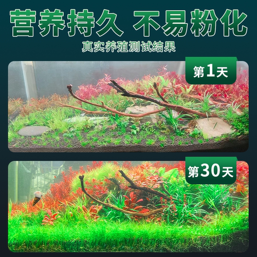 鱼缸专用水草泥生态鱼缸底砂造景水藻泥陶粒砂水草基肥草缸营养土 - 图1