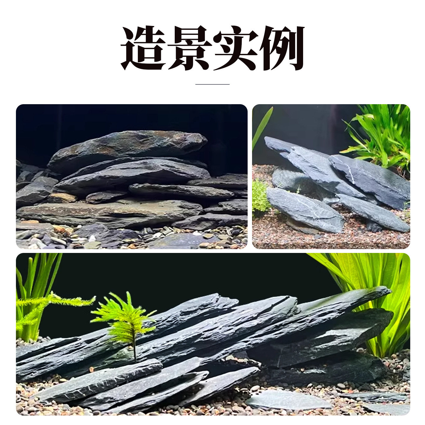 鱼缸造景石头青龙石原生溪流片石黑金石松皮石乌龟南美缸草缸装饰,淘宝优惠券,粉丝福利购,淘宝优惠卷