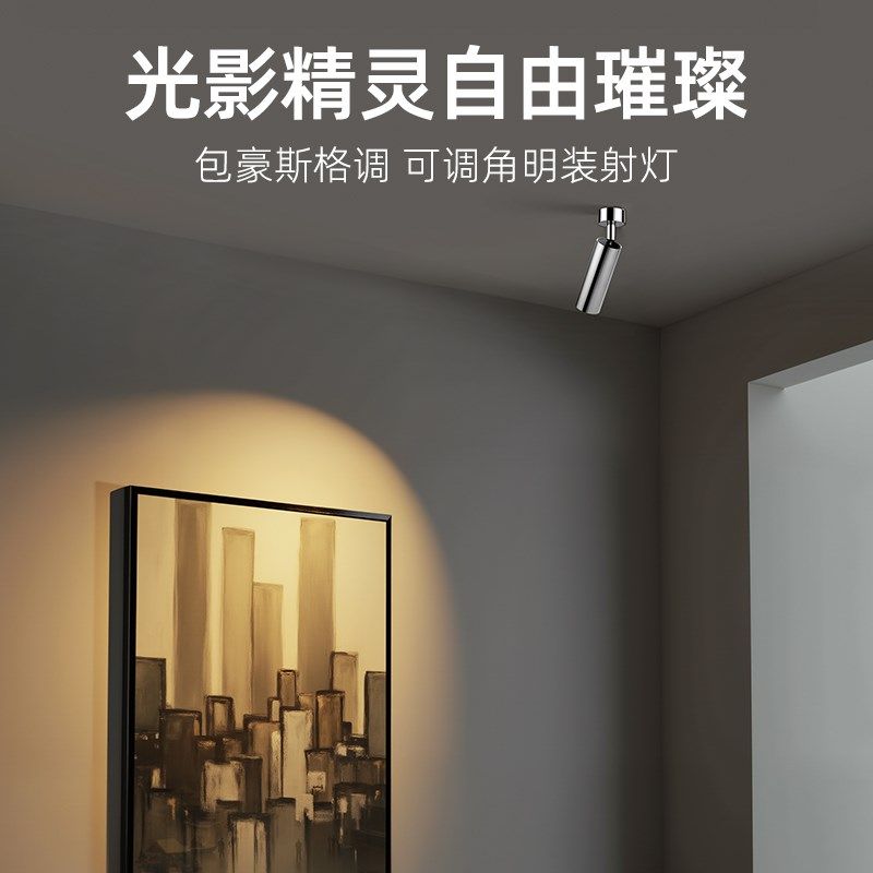 初识照明护眼不锈钢明装射灯2025新款家用电镀银可调角度洗墙灯,淘宝优惠券,粉丝福利购,淘宝优惠卷