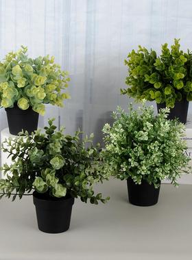 家居人造盆栽组合牛至盆栽办公桌面百里香仿真盆景