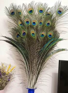 孔雀毛真羽毛家里摆设的装饰品客厅摆件大件插孔雀毛羽毛的花瓶