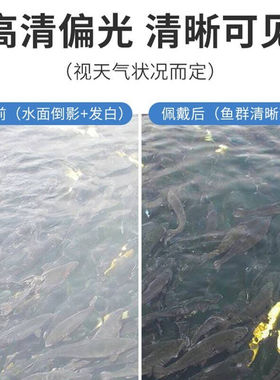 贝诗顿日夜两用变色偏光太阳眼镜男墨镜开车钓鱼驾驶夜视防远光蛤