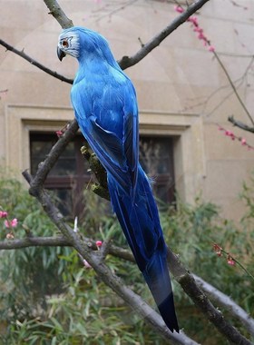 创意仿真鸟羽毛小鸟彩色鹦鹉假鸟摆件花园橱窗装饰道具工艺礼品摆
