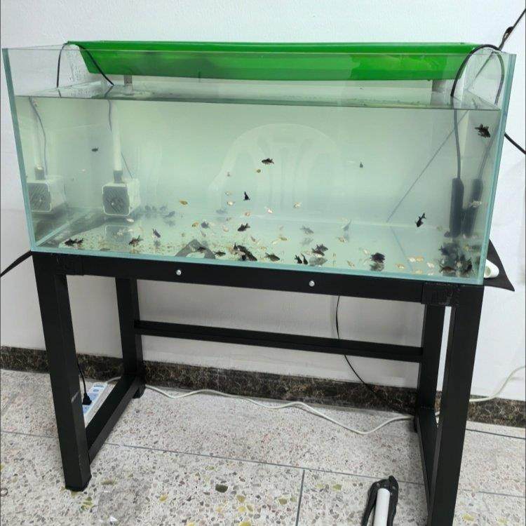 鱼缸架子鱼缸底柜横测溢流龟缸架鱼缸底座背部溢流周转箱架鱼缸架,淘宝优惠券,粉丝福利购,淘宝优惠卷