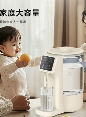 德国316不锈钢恒温3L电热水瓶